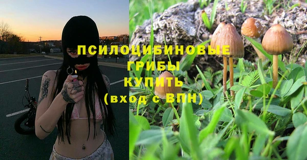 меф Майский