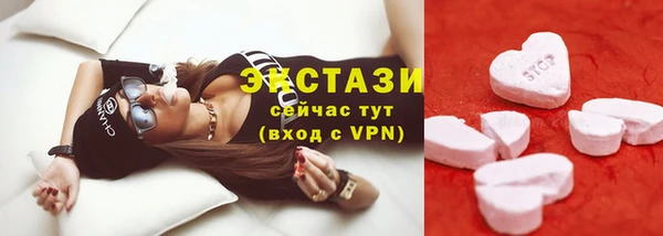 сатива Бердск