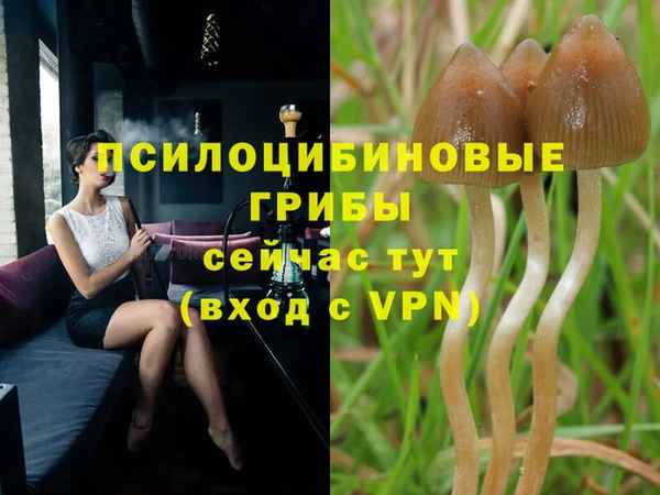 марихуана Магас